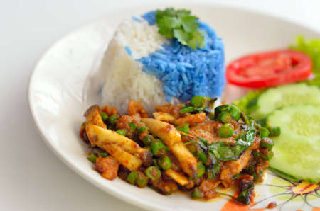 Rice and curry with mushrooms の写真素材