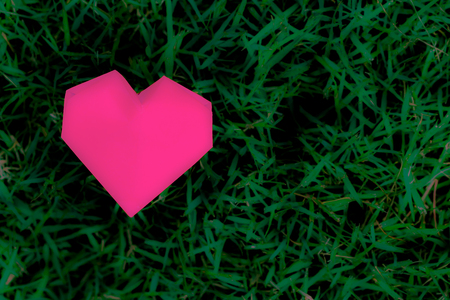 Abstract a pink heart on the grass.の写真素材