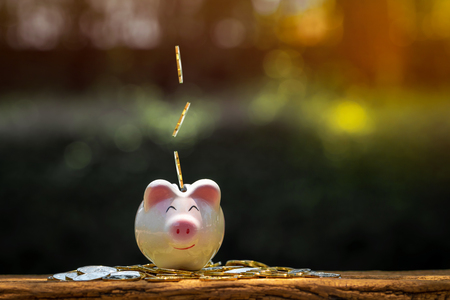 A piggy bank and coin drop on the put on the wood in the public park, a saving money for future investment concept.の写真素材