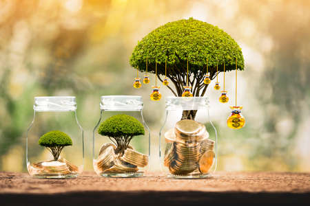 Bottle with gold coin and money bag of tree with growing put on the wood on the morning sunlight in...