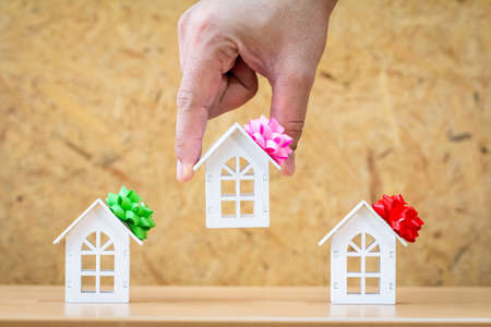 The select for buying a new real estate as a gift to family or the one loved concept, a woman hand...