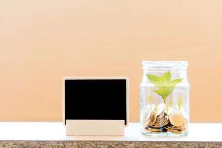Coin in the bottle with savings money and plant growing and blackboard for advertising business put...
