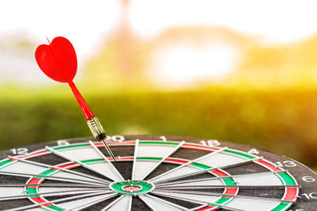 A dart arrow hitting center of dartboard in sunlight on natural background, for business planning...