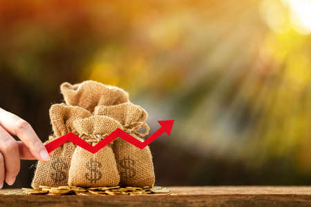 Red arrow graph with growing value and money bag on the bokeh background in the public park, Saving...