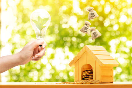 Woman hand holding the light bulb and sapling tree inside and home and coin and dropping money bag...