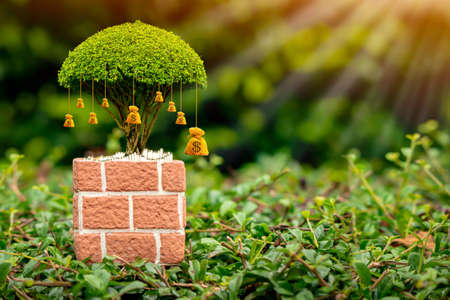Money bag of tree with growing in the flower pot and gold coins  put on the green grass on sunlight in the public park, Saving for business investment and give a loan concept.の写真素材