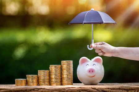 Piggy bank and stack gold coin and woman hand hold the black umbrella for protect on sunlight in the public park, to prevent for asset and saving money for buy health insurance concepの写真素材