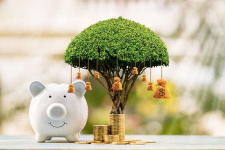 Happy piggy bank and stacked coin and gold money bag of tree with growing value as destinations in...