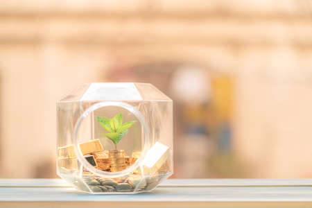 Stack gold coin and plant with growing on the top put inside the bottle put on the blue vintage wood...