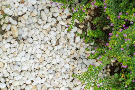 White stone.The stone is used to decorate the garden.The stone background is beautiful.の写真素材