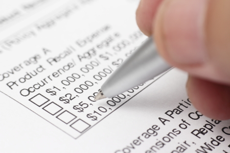 Salary Income Checkbox Form