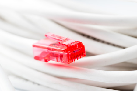 Red RJ45 Plug with White cableの写真素材