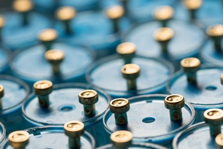 Blue Fluorescent Starters Closeup shotの写真素材