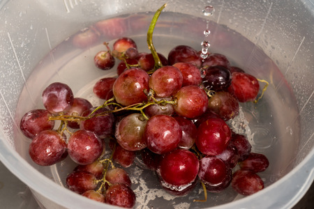 Water Rinse Red Grape before Eatの写真素材