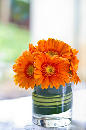 Close up Gerbera flower in glass on tableの写真素材