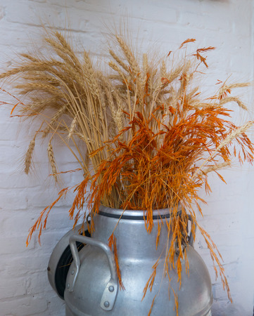 Dry flower in jar on brick backgroundの写真素材