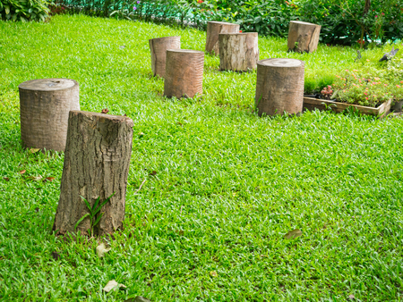 Stump for seating and green glass in gardenの写真素材