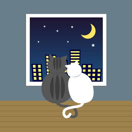 couple lover cat sit together looking outside though window in the night with crescent moon and little starのイラスト素材