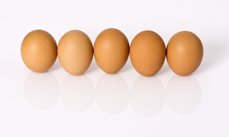 Egg in Rowの写真素材