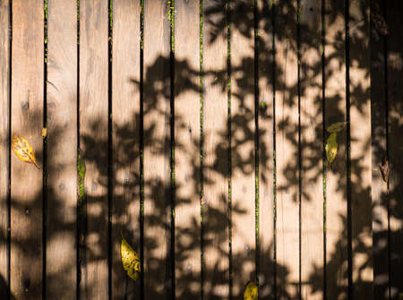 The wooden walkway in natural forest and shadow from trees leaf.