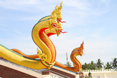 The serpent kingの写真素材