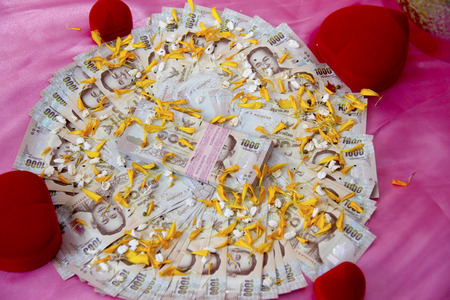 Money and flower backgroundの写真素材