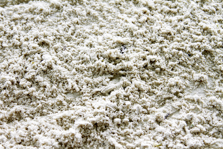 The delicate sandの写真素材