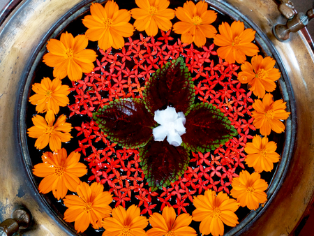 Beautiful flower for backgroundの写真素材