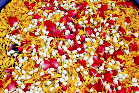 Many flower soar in waterの写真素材