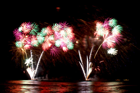 Beautiful color treeの写真素材