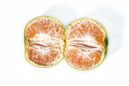 	slice of orange isolated on white backgroundの写真素材