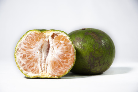 Oranges with leafsの写真素材