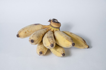 Bananasの写真素材