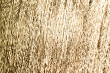 wood tuxtureの写真素材