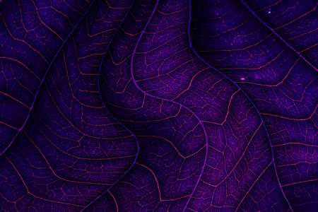 abstract light background