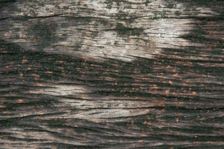 old wood texture backgroundの写真素材