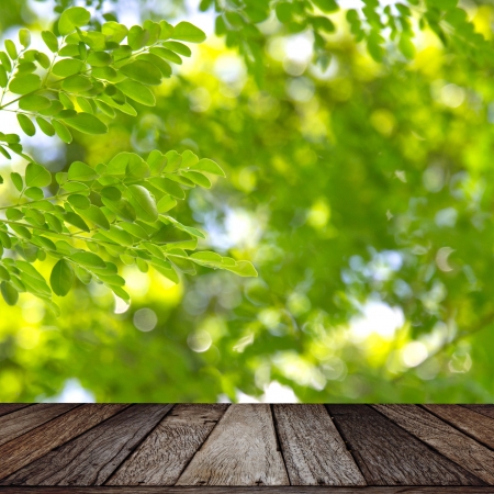 Wooden texture on green leaf backgroundの写真素材