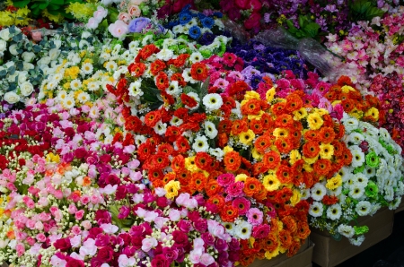 colorful plastic handmade flowersの写真素材