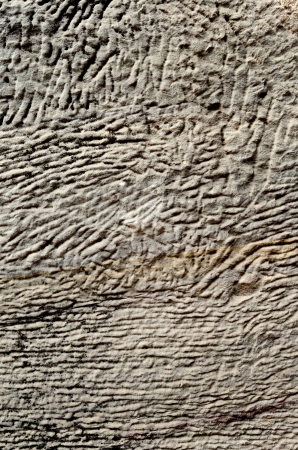 stone wall backgroundの写真素材