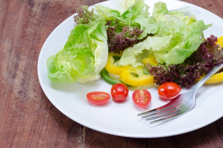 fresh saladの写真素材