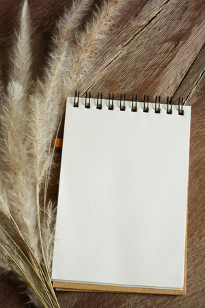 notepad and grass flowersの写真素材