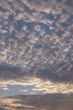 Cloudscape, Colored Clouds at Sunset near the Ocean, in the Sky