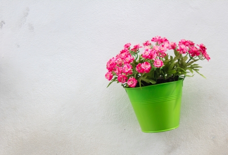 Spring Flowers In Potsの写真素材