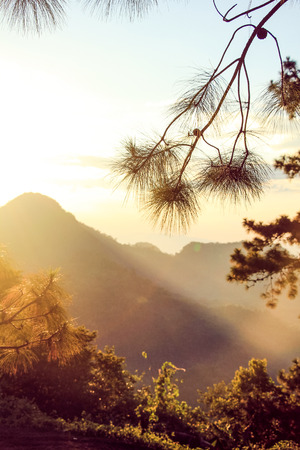 Sunset at the mountain landscapeの写真素材