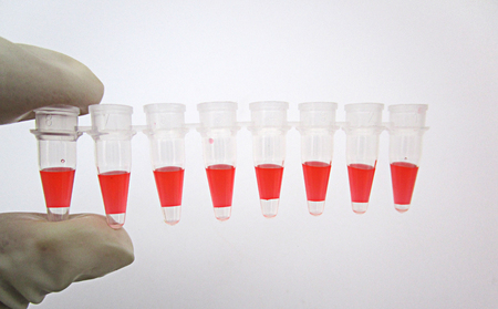 Small test tube in laboratoryの写真素材