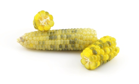Boiled corn on white background
