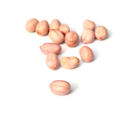 Groundnuts on a white backgroundの写真素材