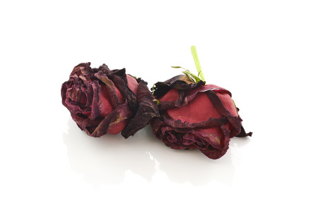 Dried roses isolated on white backgroundの写真素材