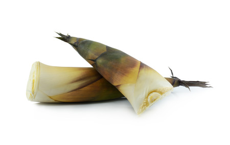 bamboo shoot isolated on white backgroundの写真素材
