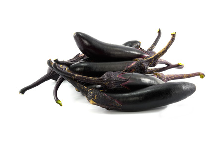 fresh eggplants in white backgroundの写真素材